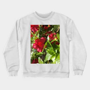 A Jungle of Red Azaleas Crewneck Sweatshirt